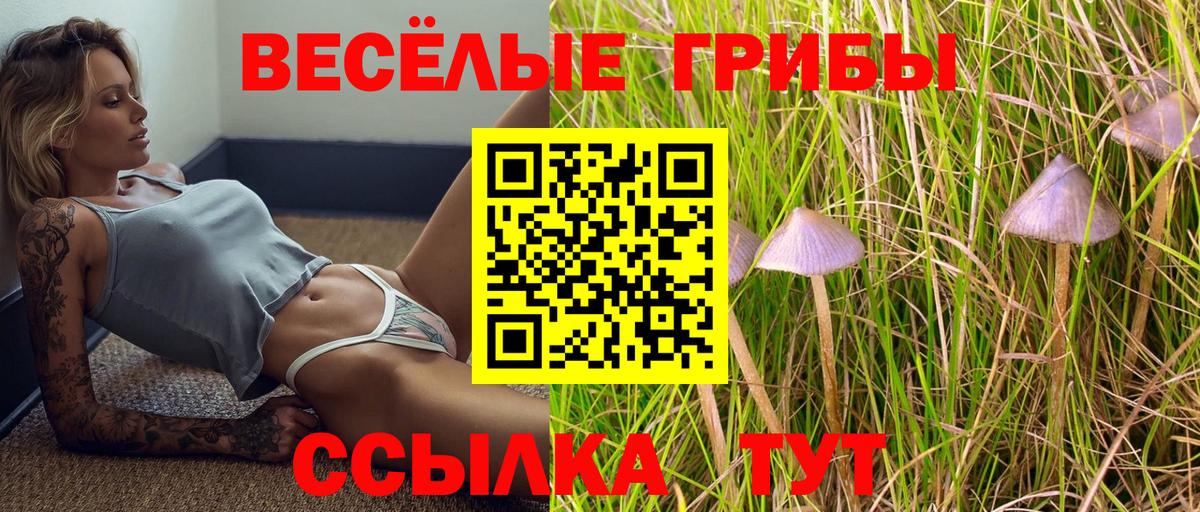 Галлюциногенные грибы GOLDEN TEACHER  Вход с VPN  Гуково 