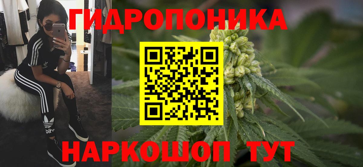 Каннабис индика Гуково